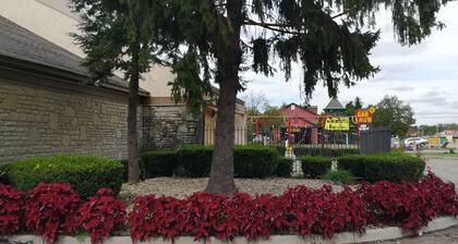American Value Inn