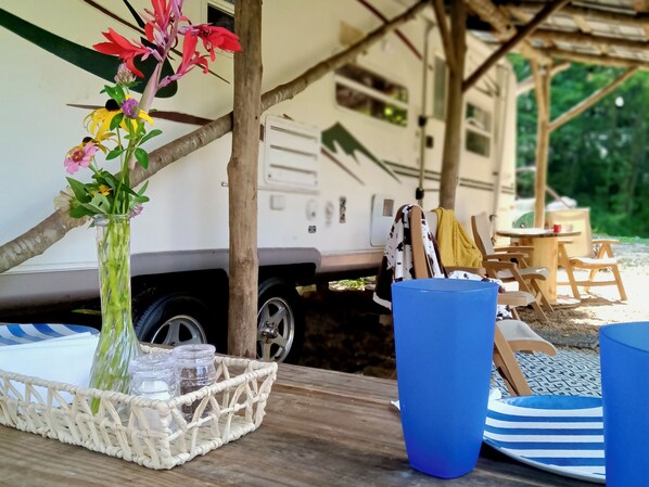 Outdoor dining - Wildcat Knob RV in the Smoky Mountains (Cosby)