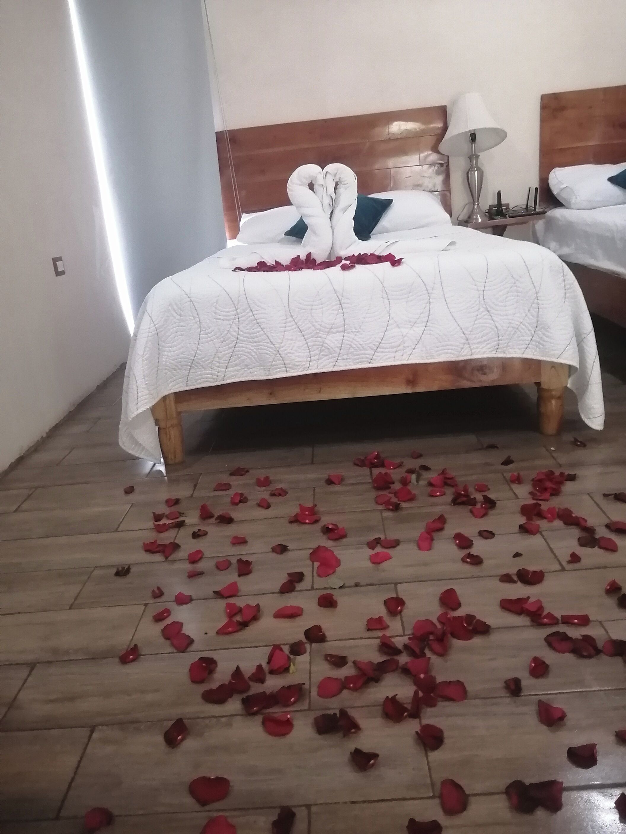 Wifi gratis y ropa de cama 