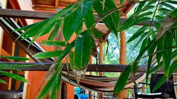 Habitación Deluxe | Terraza o patio