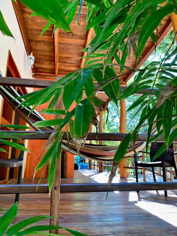 Chambre Deluxe | Terrasse/patio