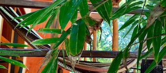 Cabañas Playa Pink Isla Aguada.