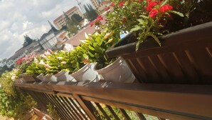 A row of potted plants with red flowers on a balcony railing. - Ngoc Tran Hostel (Cam Ly - Da Lat)