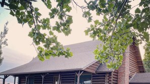 Une cabane en rondins avec un porche, une cheminée et une pelouse bien entretenue.