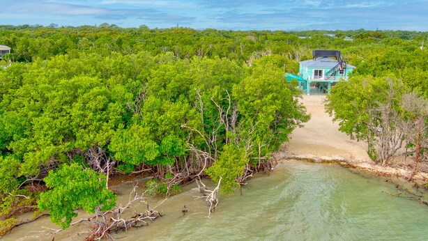 Une maison turquoise, entourée d’une végétation luxuriante et bordée d’une plage de sable.