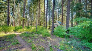 A forested area with a cabin. - Peaceful Leavenworth Cabin with Deck & Fire Pit! (Leavenworth)