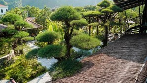 A traditional Japanese garden with a thatched-roof structure, surrounded by lush greenery and a small pond. - Tam Coc Retreat Ninh Bình (Nam Hoa Lu)