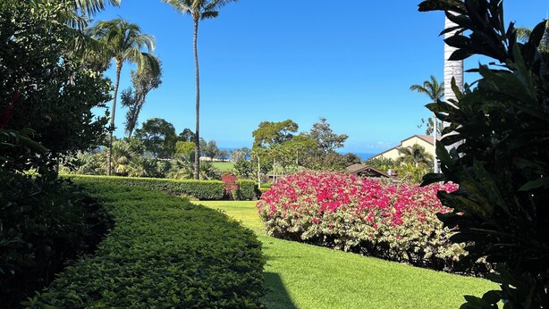 Un jardin bien entretenu, avec une grande variété de plantes, un ciel bleu dégagé et une vue lointaine sur un bâtiment.