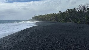 Une plage au rivage de galets, avec une rangée d’arbres en arrière-plan.
