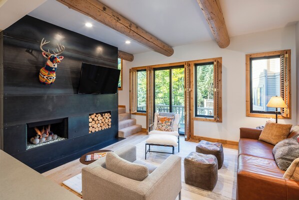 Smart TV, fireplace, books, music library