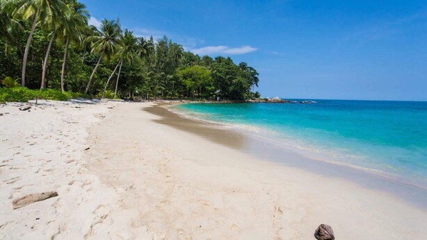 A beach with clear turquoise water, sandy shore, and palm trees. - Condo Viva Patong A401 Freedom Beach (Patong)