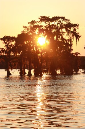 Property grounds - Cozy waterfront studio apartment with a covered deck on Bayou Pierre Part.   (Pierre Part)