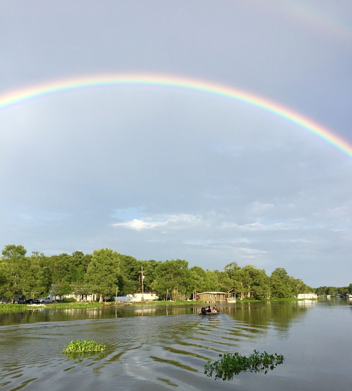 Værtens profilbillede