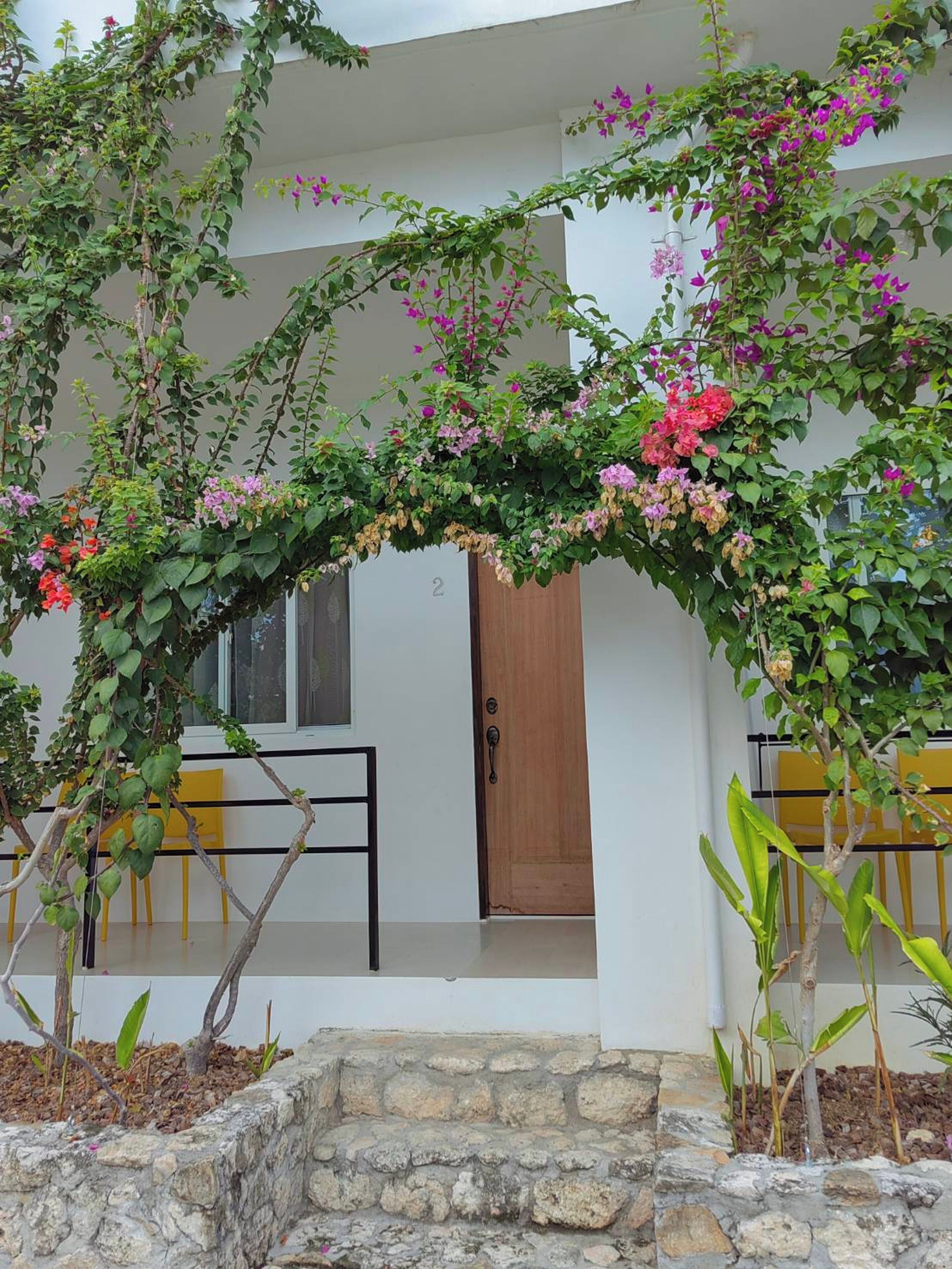 Une entrée d’immeuble avec une porte en bois, un mur en pierre et une chaise jaune à l’extérieur.