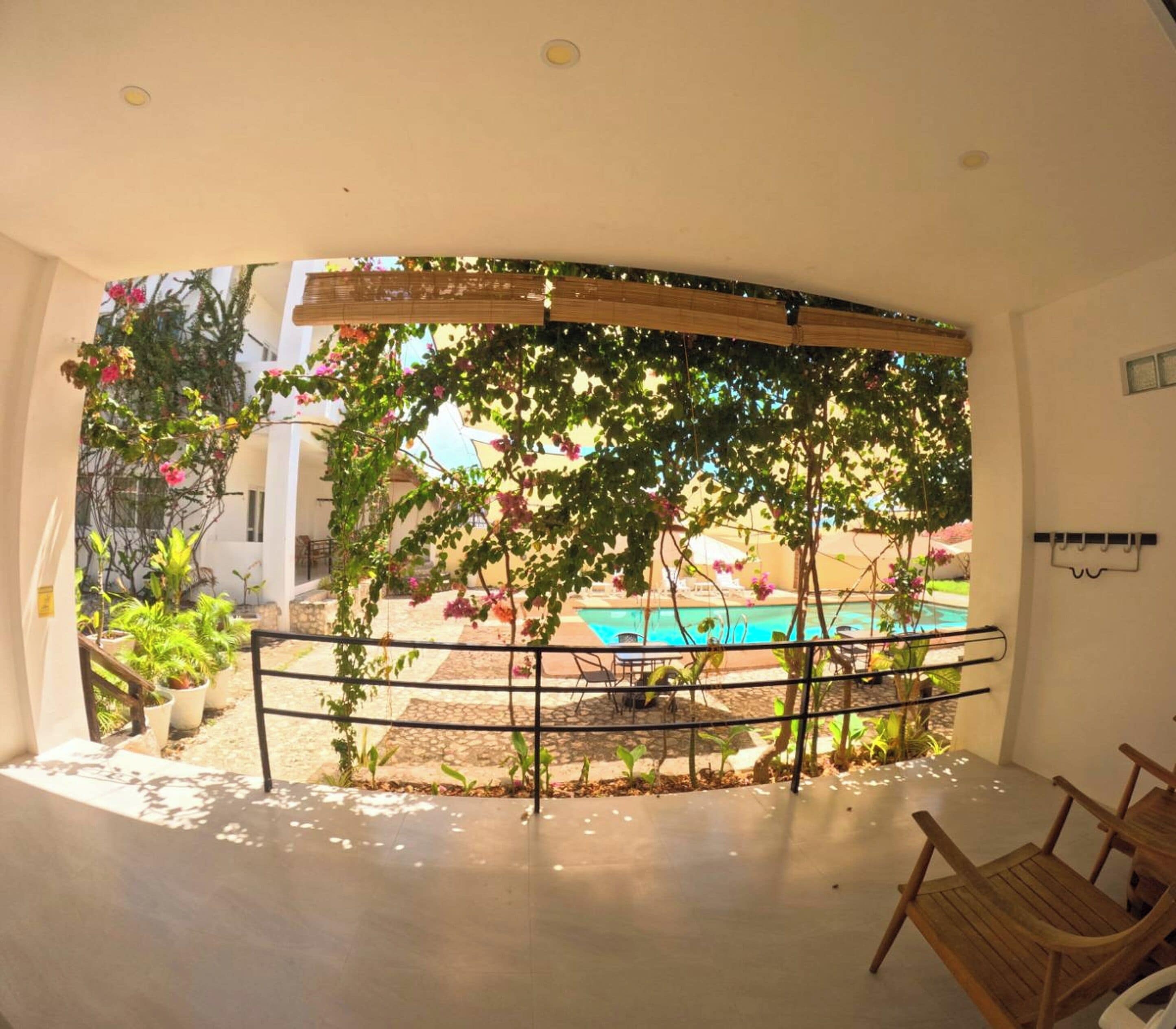 Una habitación con vista a una piscina, un pérgola de madera y plantas en macetas.