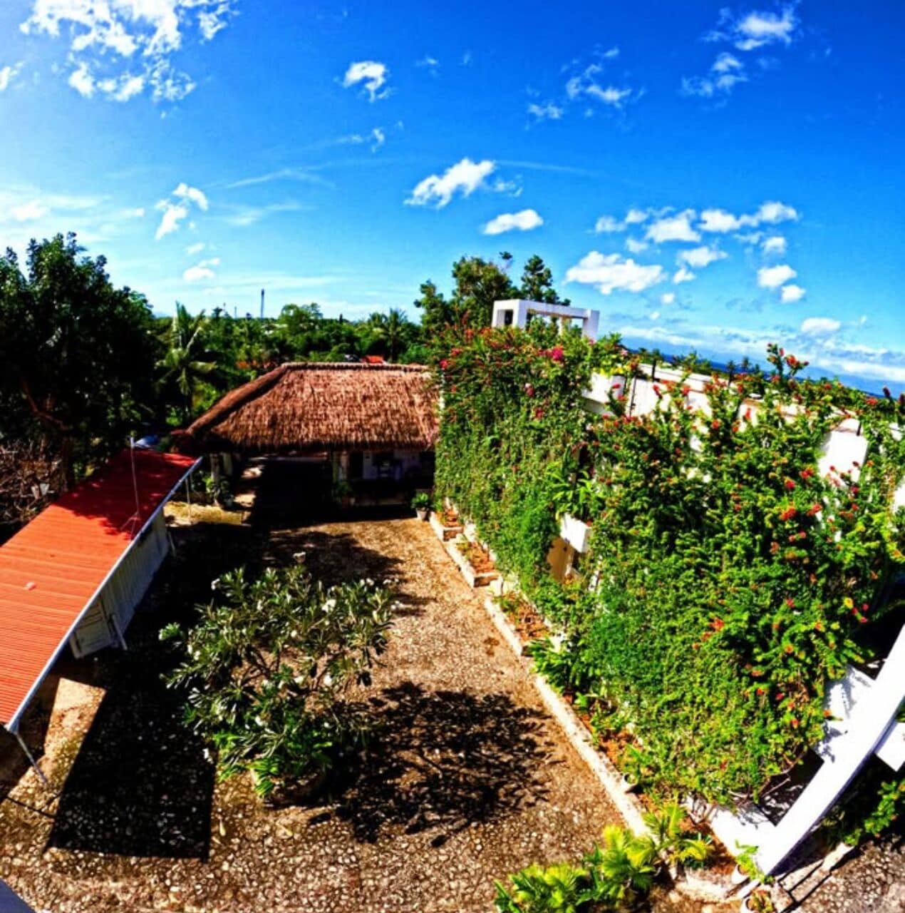 A garden with a thatched-roof structure, a white building, and a variety of plants.