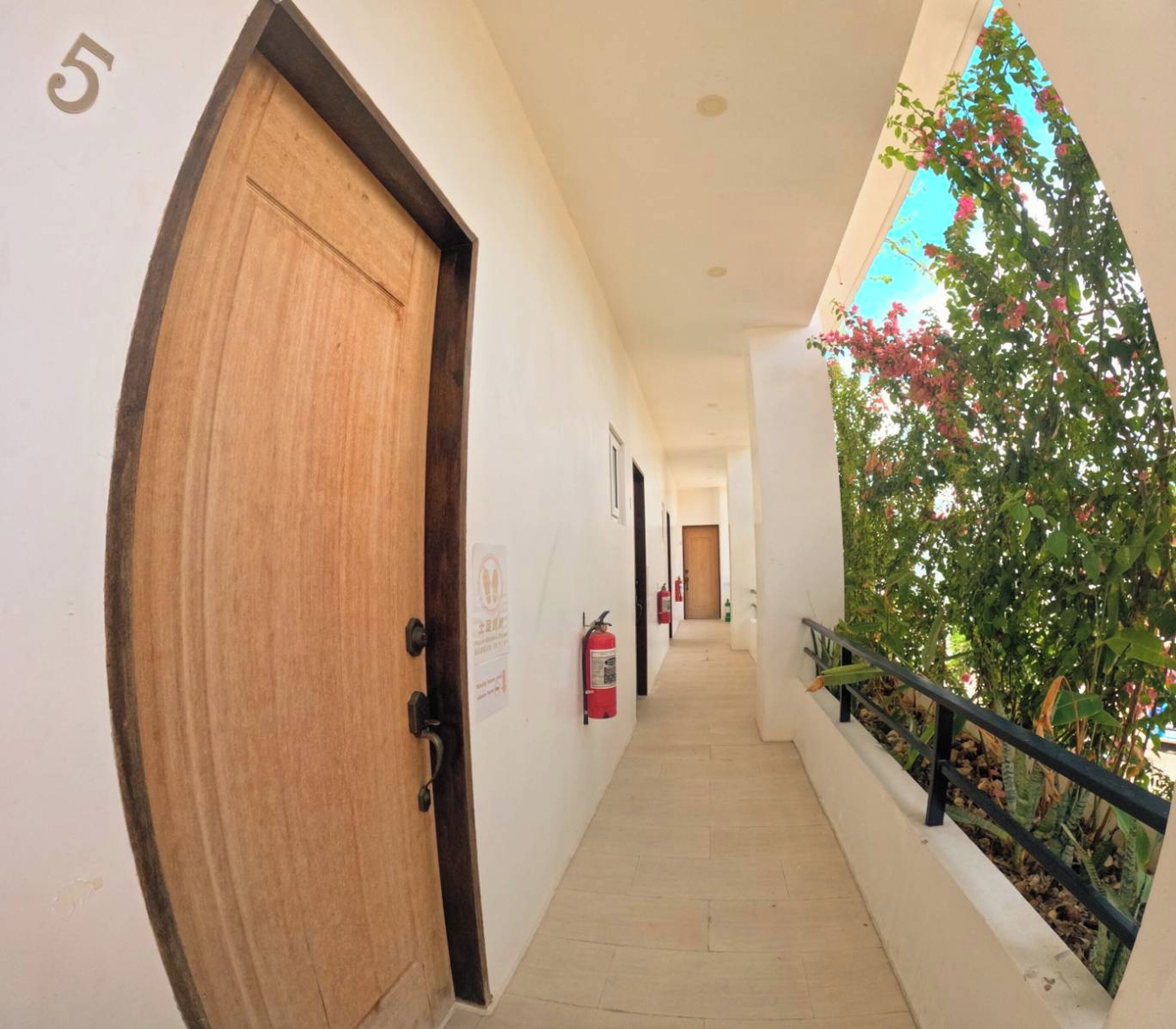 Un couloir avec une porte en bois, un extincteur et un balcon agrémenté de plantes.