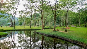 Caminhada