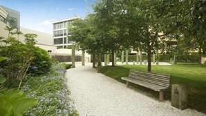 A gravel path leading to a wooden bench under a tree, with a modern building in the background. - The Vibe: Auckland CBD
 (Auckland)
