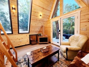 Smart TV, chimenea y libros 