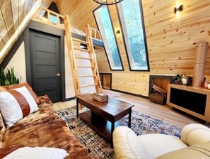 TV connectée, cheminée, livres