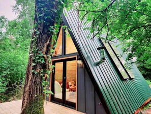 Exterior - Tranquil A-Frame Cabin Retreat Nature's Serenity (Seattle)