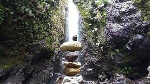 Ein friedlicher Wasserfall, umgeben von üppigem Grün, mit einem Steinhaufen im Vordergrund.