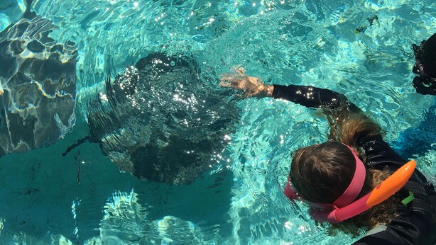 Eine Person schwimmt in einem Pool mit klarem Wasser.