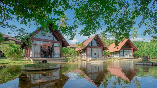 A tranquil resort with three wooden cabins, each featuring large windows and a pond in the foreground.