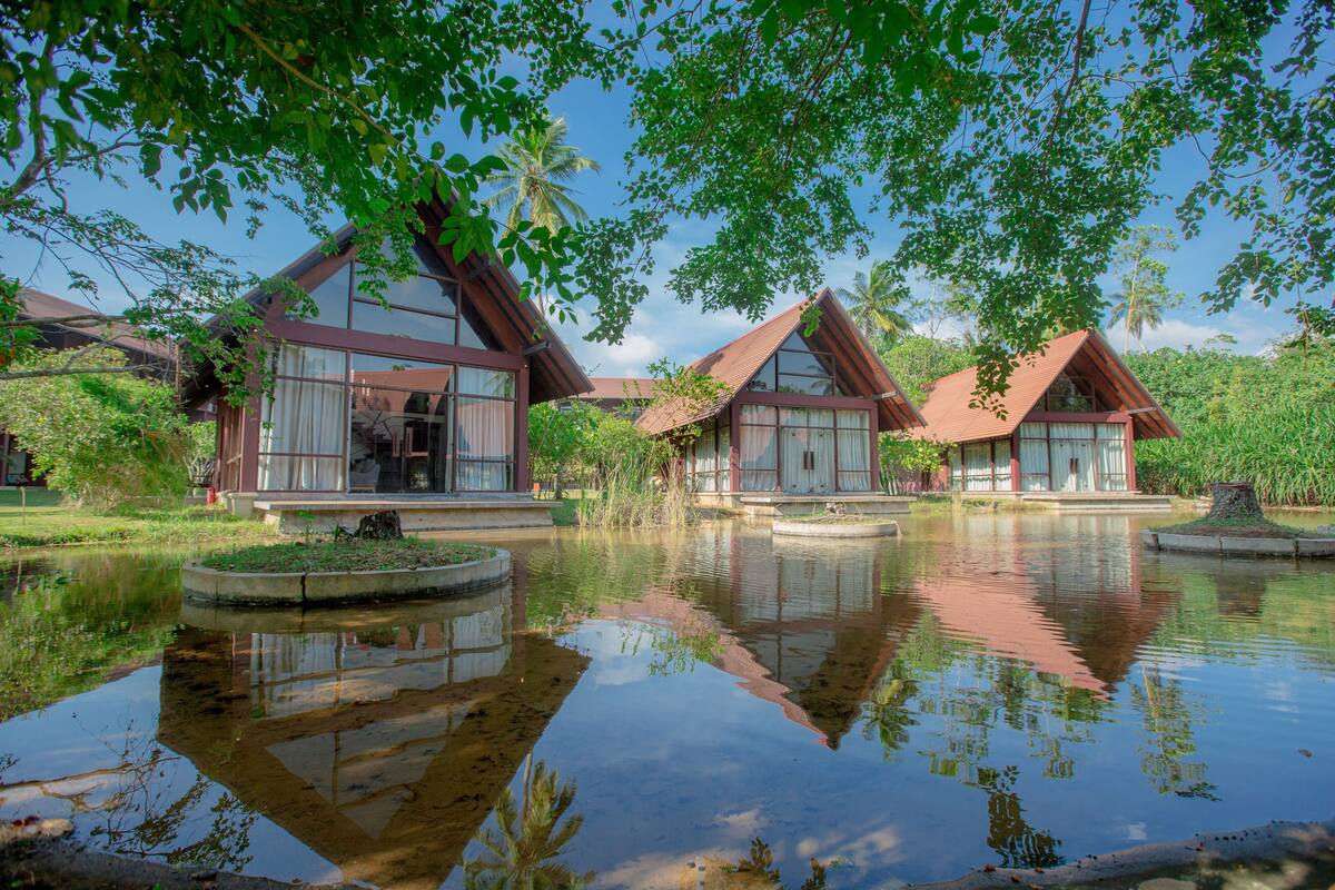 A tranquil resort with three wooden cabins, each featuring large windows and a pond in the foreground.