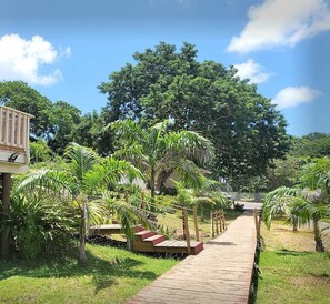Garden - Hôtel Hamaha Beach (Mamoudzou)
