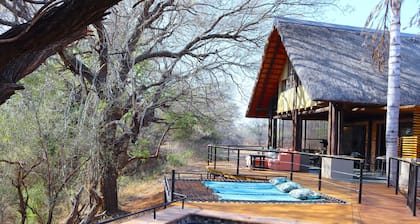 WILD ESCAPE â YOUR GATEWAY TO THE HEART OF THE LOWVELD.