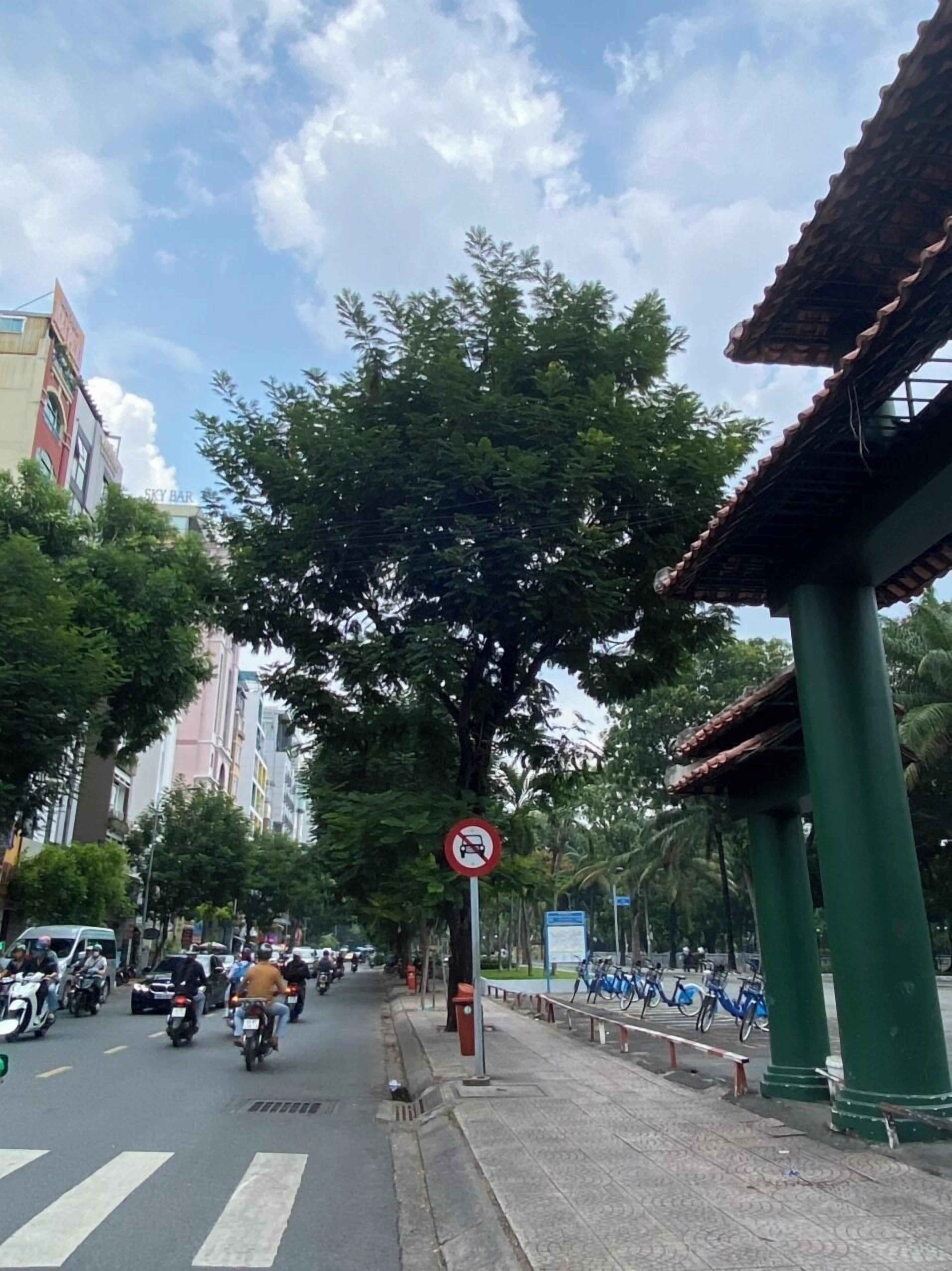 A street scene with a no parking sign, a Sky Bar building, and a tree-lined sidewalk.