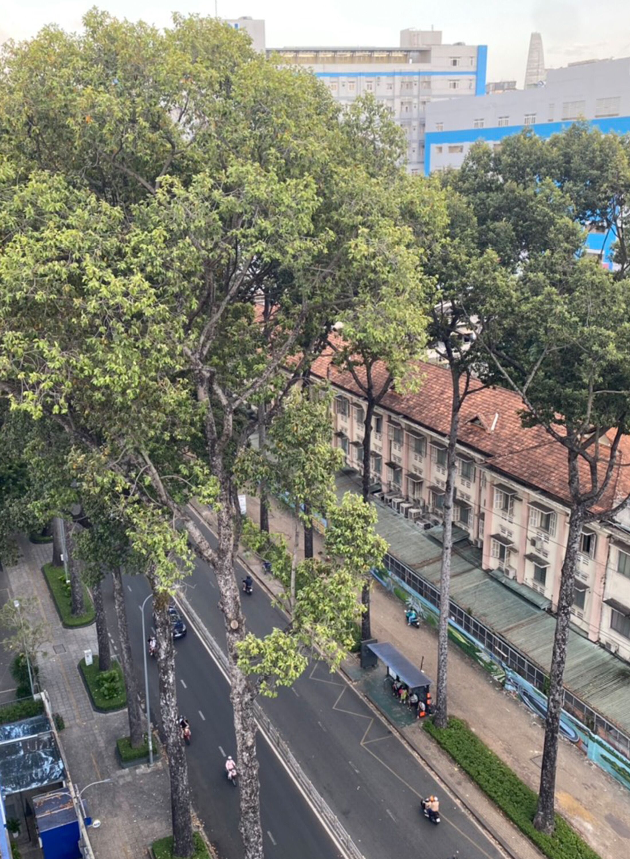 Photo - Thiên Tài Hotel