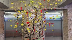 Een rode decoratieve plantenbak met een boom en hangende versieringen in een liftruimte.