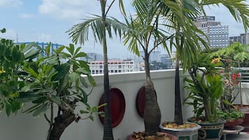Rooftop terrace
