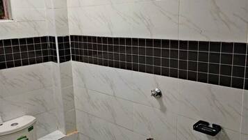 Shower, towels, soap, toilet paper