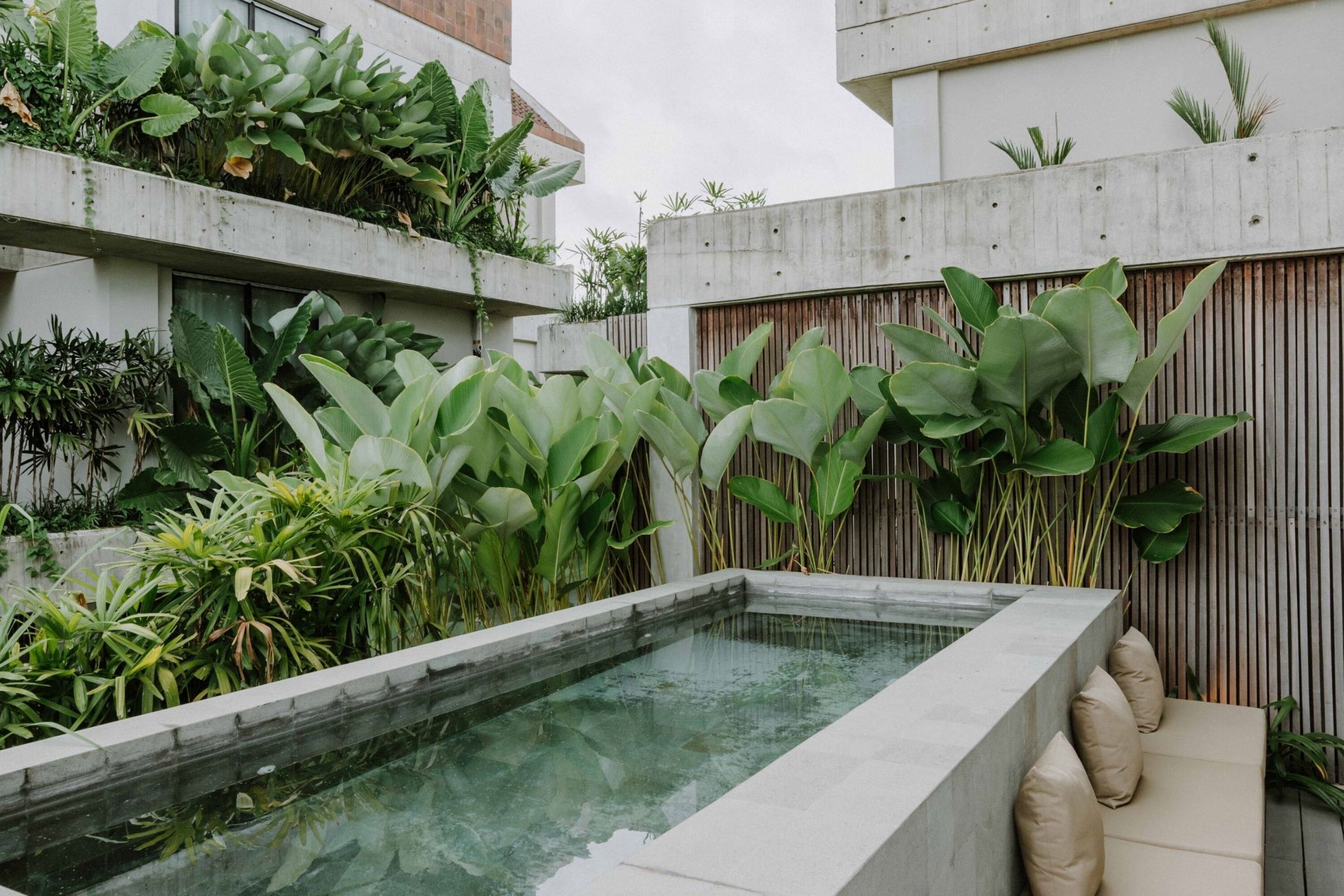 A modern outdoor pool area with a rectangular pool, surrounded by lush greenery and concrete walls.