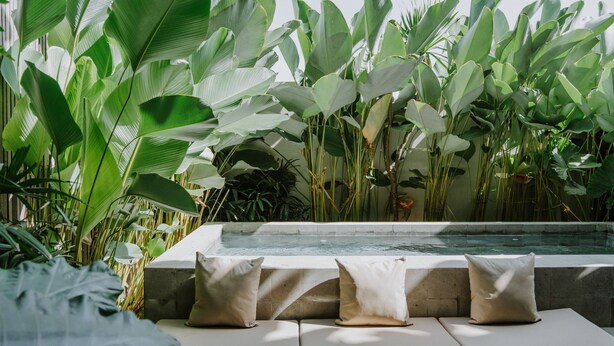 Un área de piscina con plantas tropicales grandes y una zona de estar con cojines.
