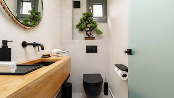 Regadera, secadora de cabello, toallas