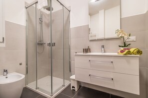 Shower, hair dryer, bidet, towels