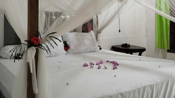 Kamar Double atau Twin Basic, pemandangan kebun