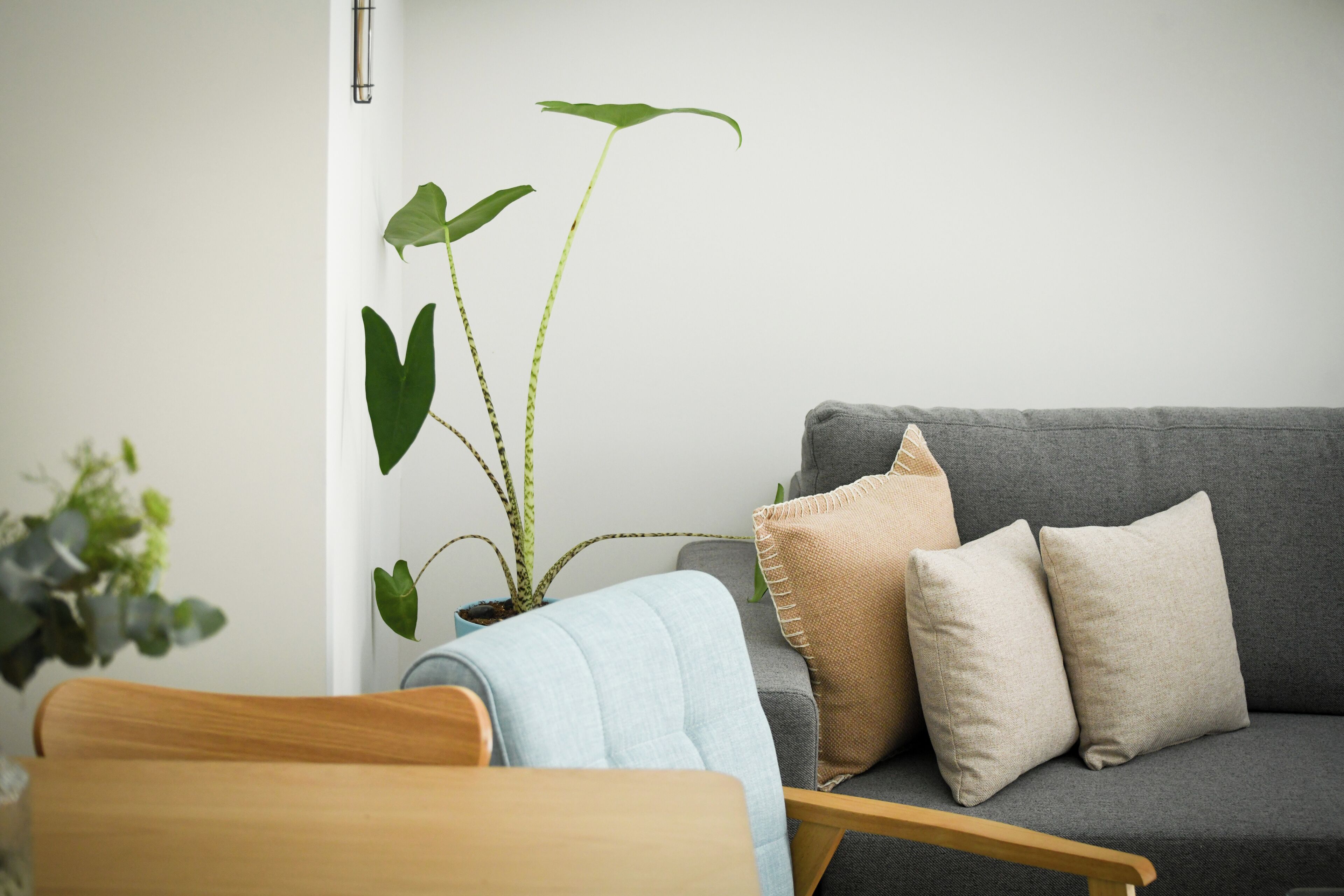 Apartment | Living area | 50-inch Smart TV with cable channels