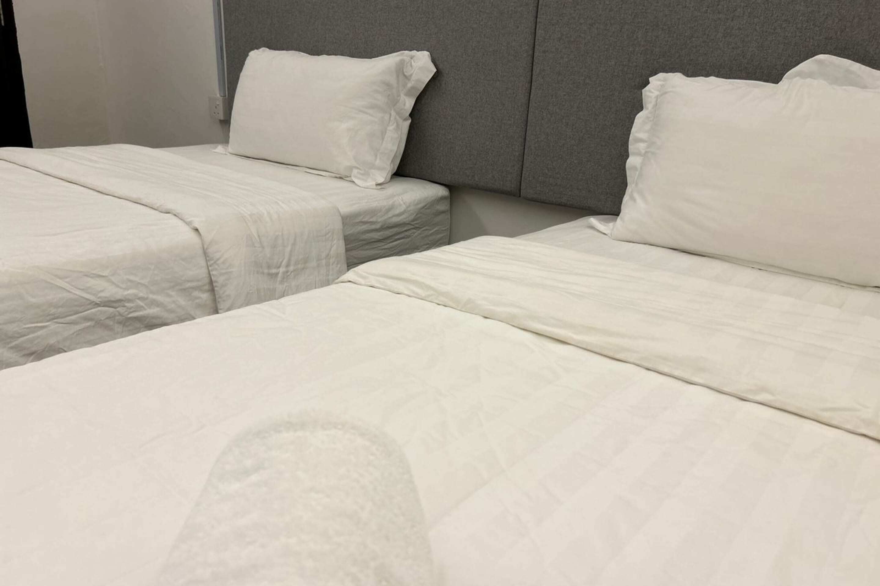 Two single beds with white linens and pillows, a grey headboard, and a plain wall.