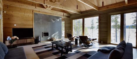 Televisio, takka, videopelejä, kirjoja