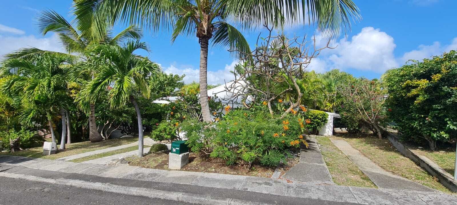 A residential area with palm trees, a white house, and a mailbox marked '114'.