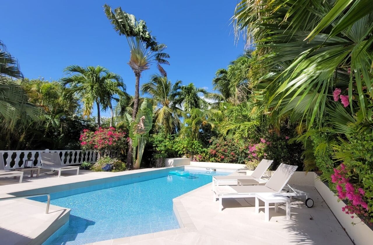 A swimming pool with lounge chairs, surrounded by lush greenery and palm trees.