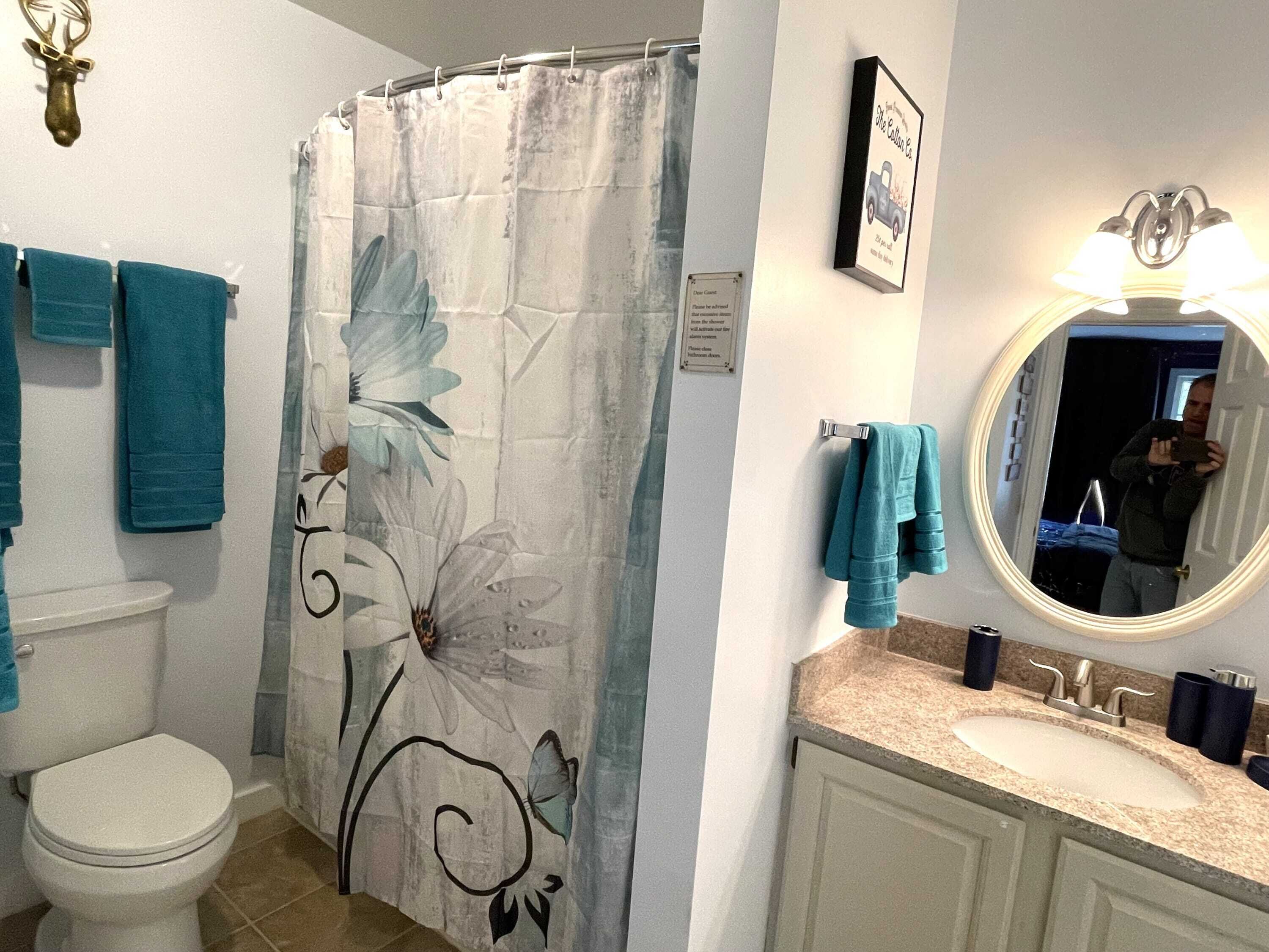 A bathroom with a shower curtain featuring floral designs, a toilet, a sink with a mirror, and a framed picture on the wall.