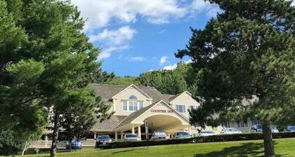 Gorgeous Mountain View Suite Ski On/Off At Jiminy - Fully Redone Decor