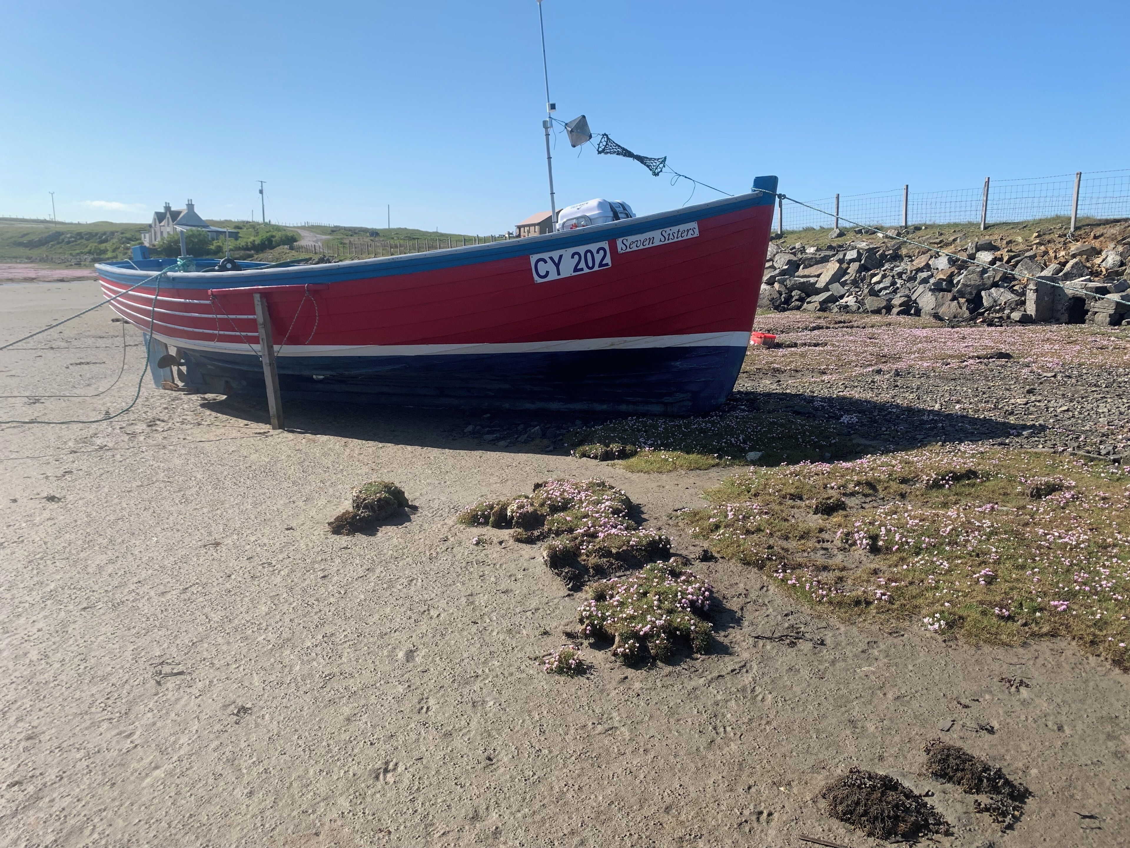 Een rode en witte boot genaamd CY202 'Seven Sisters' ligt aan een rotsachtige kust met schaarse begroeiing.